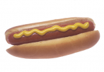 Chow Dog
