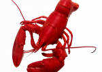 Captain D's Seafood Kitchen